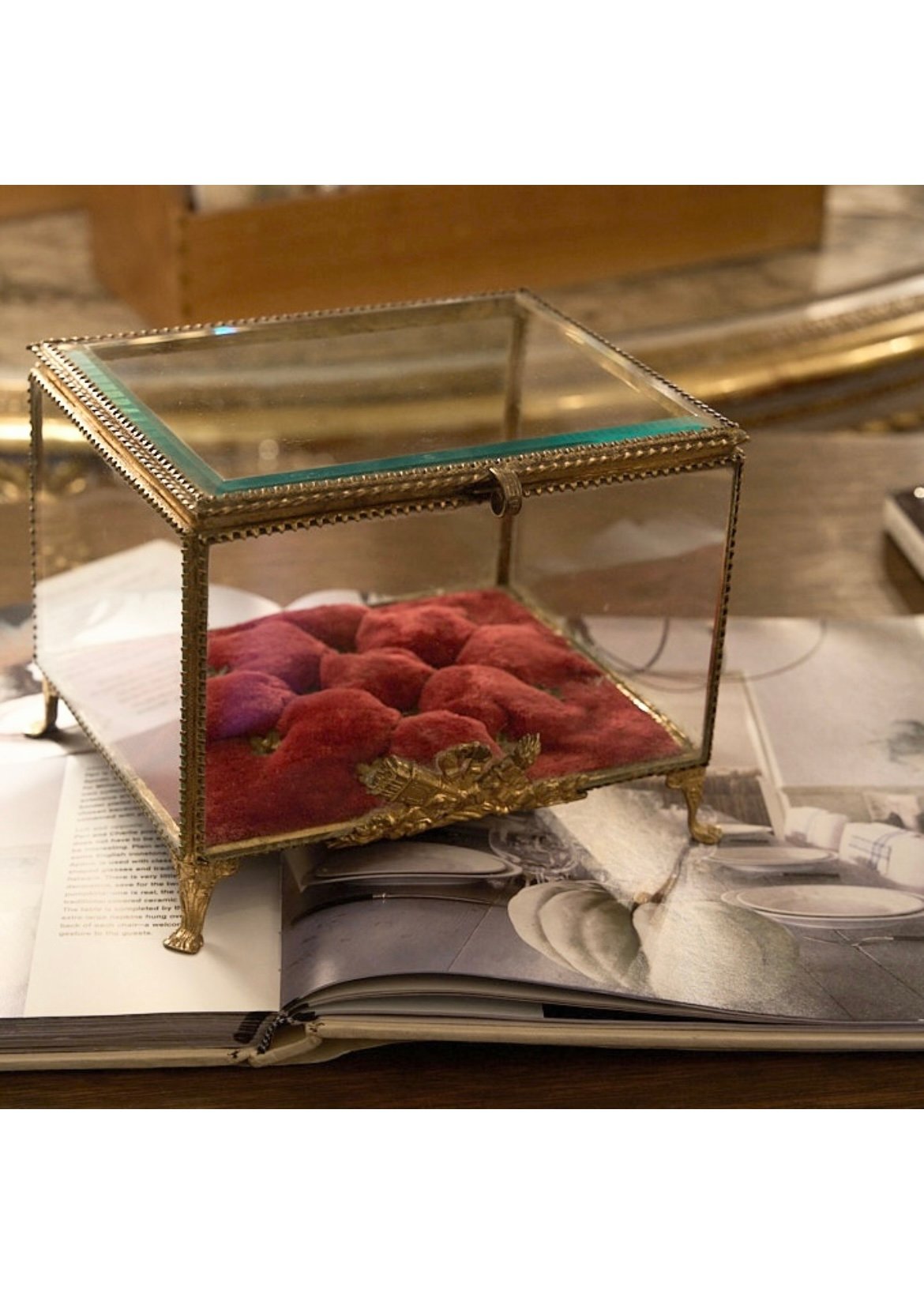 アンティークジュエリーボックスW. F. L. Watts Ltd. 貴重 フランスアンティーク 大きなジュエリーボックス 宝石箱