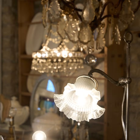 Clair de Lune クレール•ド•リュヌ