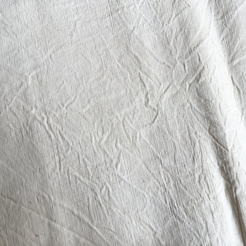 アンティーク 生地 長さ3m×2m フランス | Clair de Lune クレール•ド