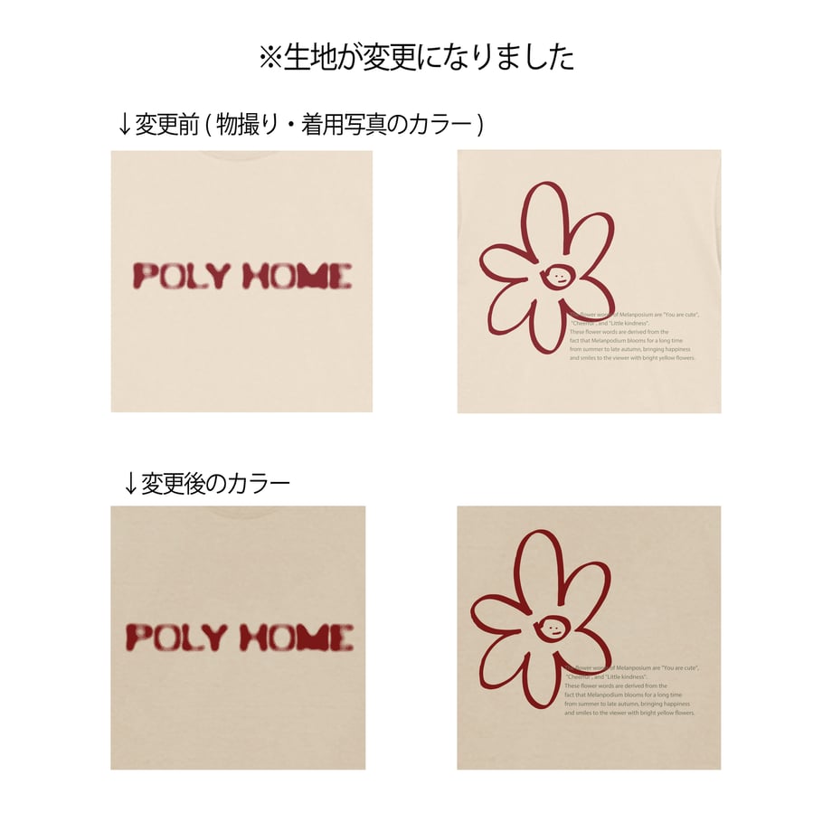 6666a79eb46a3700b7e33955