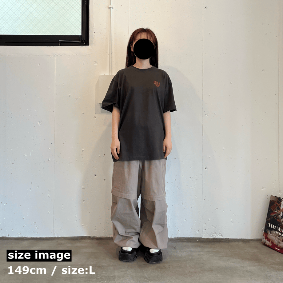 6666a79eb46a3700b7e33955