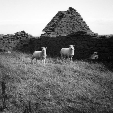 写真集 SHETLAND IN THE LIGHT