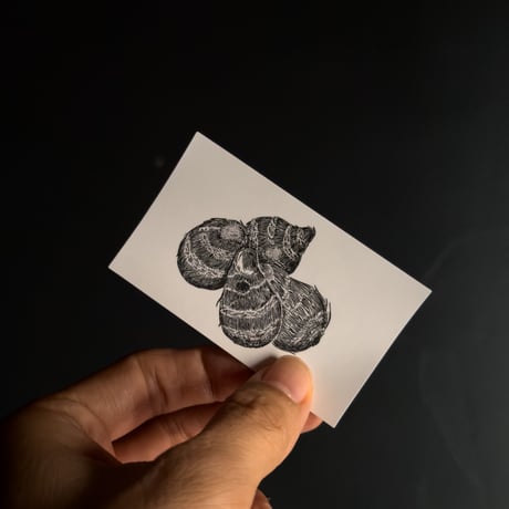 Letterpress sticker  -「TONIKAKU」-  サトイモ