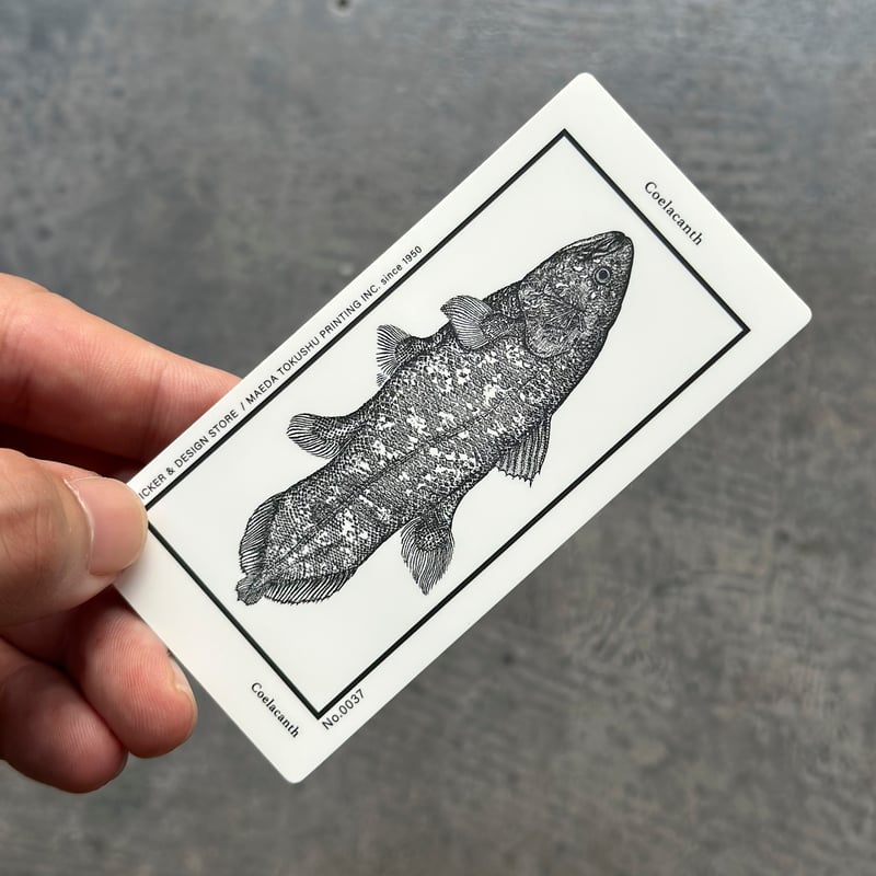Letterpress sticker -「MONO」- シーラカンス | STICKER