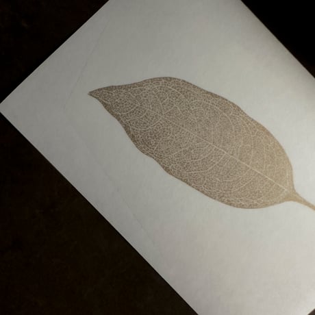 Letterpress sticker  -「HAPPA-L」- キンモクセイ