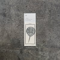 Letterpress sticker  -「MONO」- カブトガニ