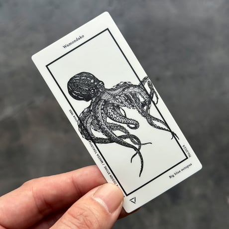 Letterpress sticker  -「MONO」- ワモンダコ