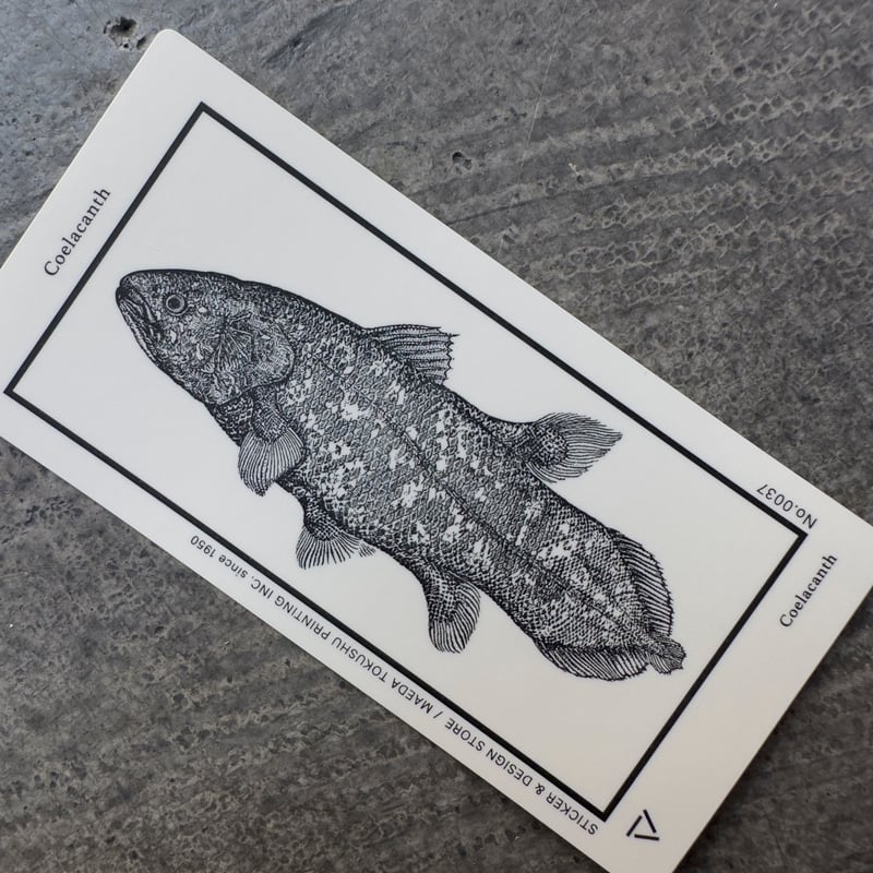 Letterpress sticker -「MONO」- シーラカンス | STICKER