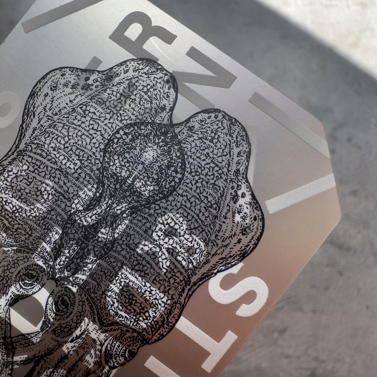 Letterpress sticker -「GEOMETRY-SILVER」- アオリイカ