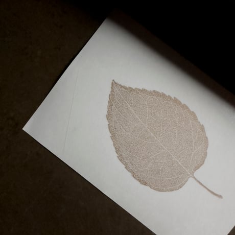 Letterpress sticker  -「HAPPA-L」- リンゴ