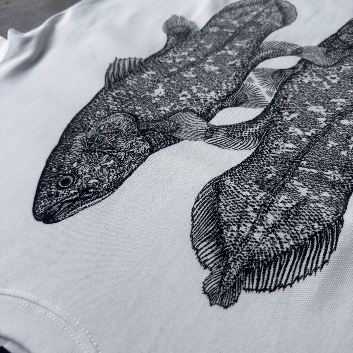 T-shirt - WHITE - COELACANTH | STICKER ＆ DESIGN