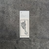 Letterpress sticker  -「MONO」- カブ