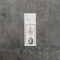 Letterpress sticker  -「MONO」- プルーン
