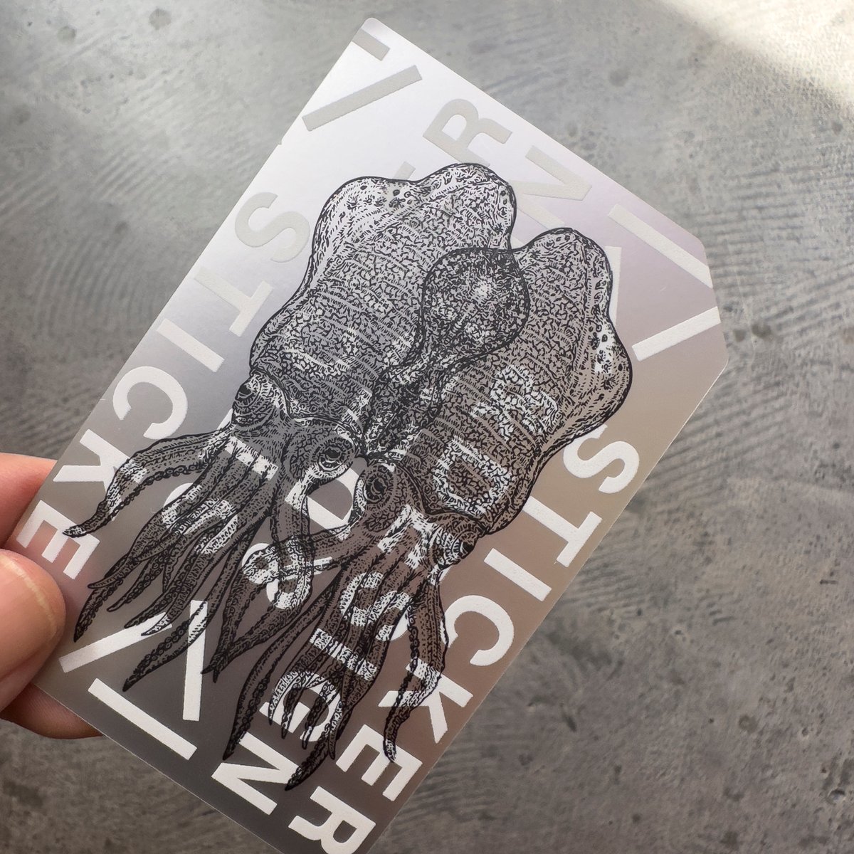 Letterpress sticker -「GEOMETRY-SILVER」- アオリイカ