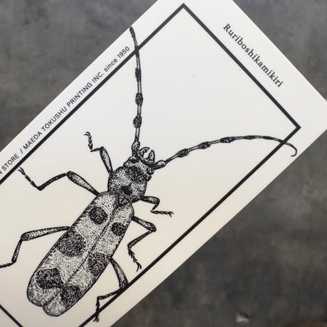 Letterpress sticker  -「MONO」- ルリボシカミキリ