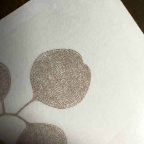 Letterpress sticker  -「HAPPA-Ｍ」- ユーカリ