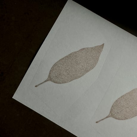 Letterpress sticker  -「HAPPA-Ｍ」- キンモクセイ