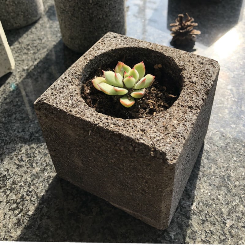 植木鉢】【国産溶岩石・大谷石】 溶岩石フラワーポット(角) サボテン