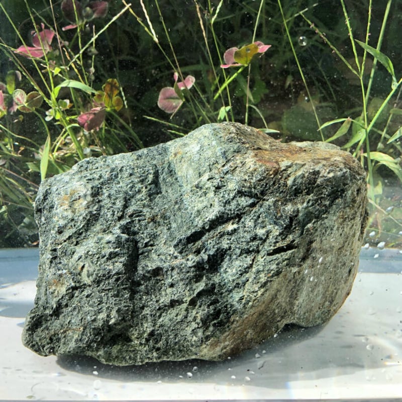 北アルプスのあぶら石NO.3アクアリウム 飾り石 油石 水槽 置石 植木 