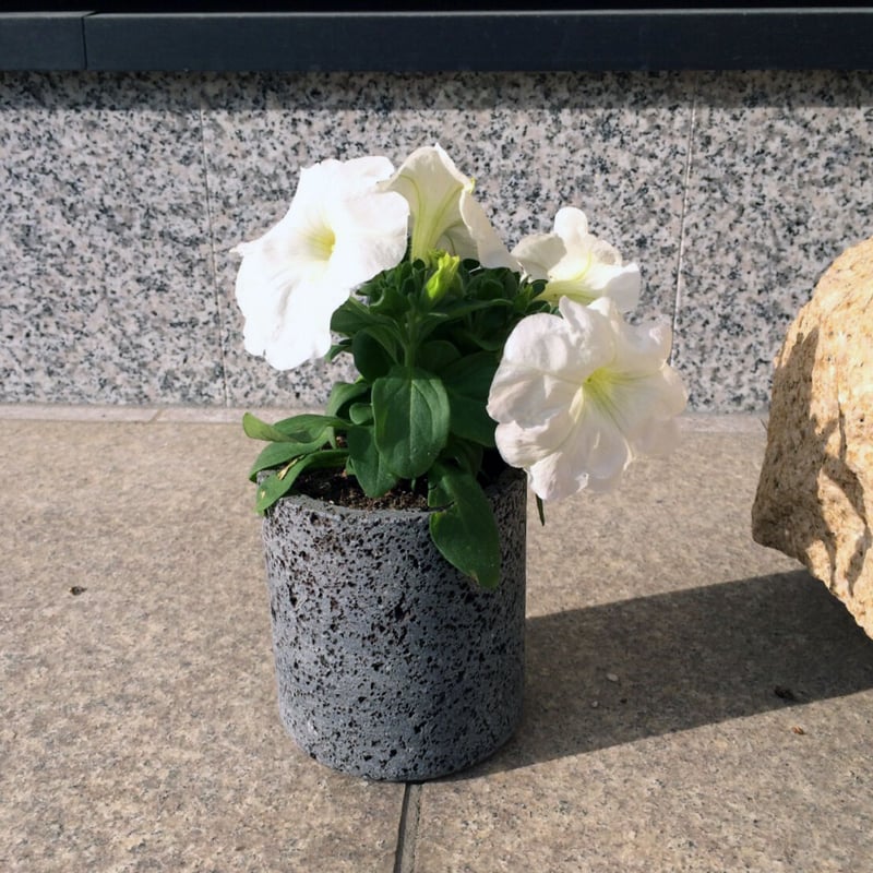 溶岩石フラワーポッット（S）植木鉢 サボテン 鉢 石 おしゃれ 鉢植え