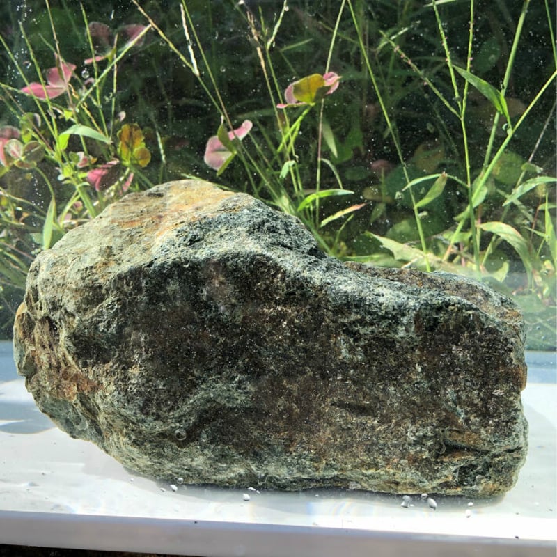 北アルプスのあぶら石NO.5 アクアリウム 飾り石 油石 水槽 置石 植木 