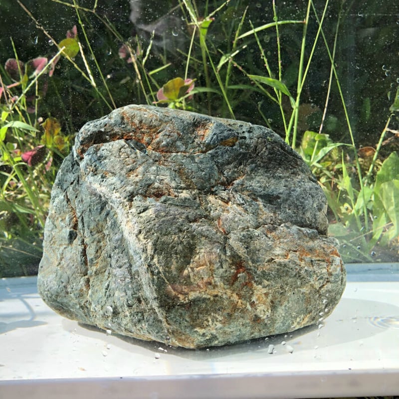 北アルプスのあぶら石NO.4アクアリウム 飾り石 油石 水槽 置石 植木 