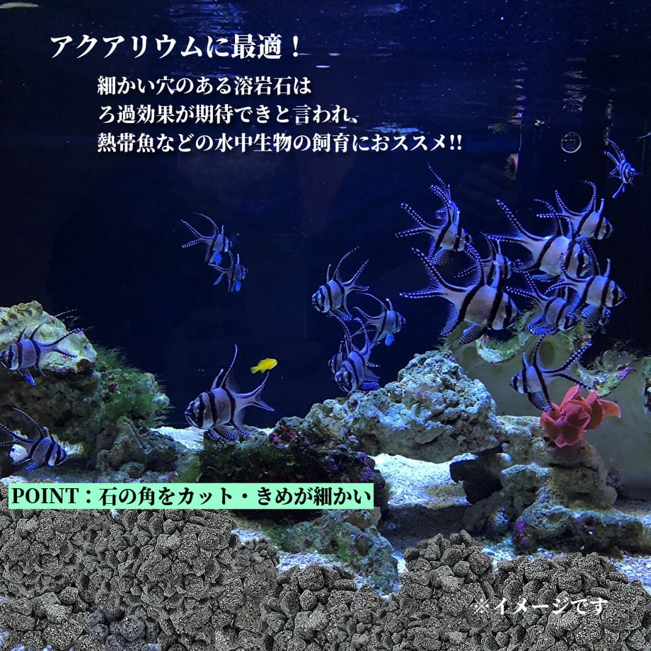 654c6a3ed34c9c00352350af
