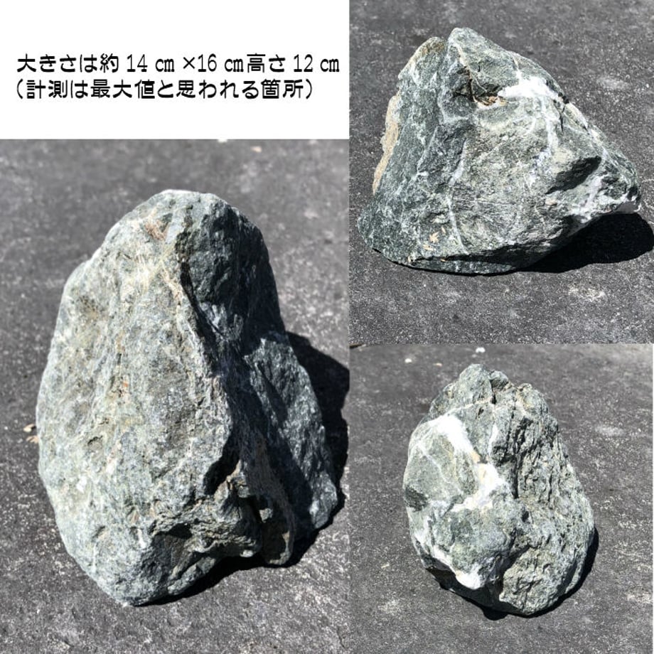 618b79631bfe19463f442f86