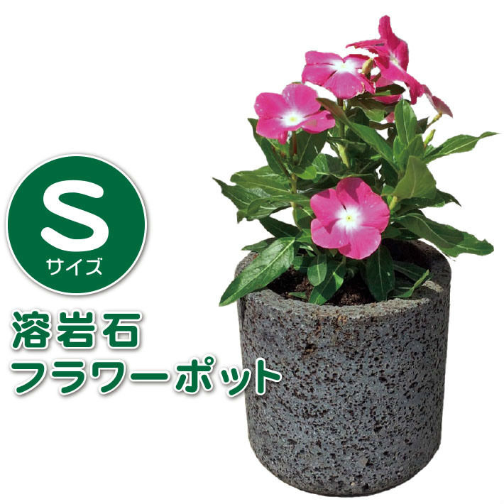 溶岩石フラワーポッット（S）植木鉢 サボテン 鉢 石 おしゃれ 鉢植え