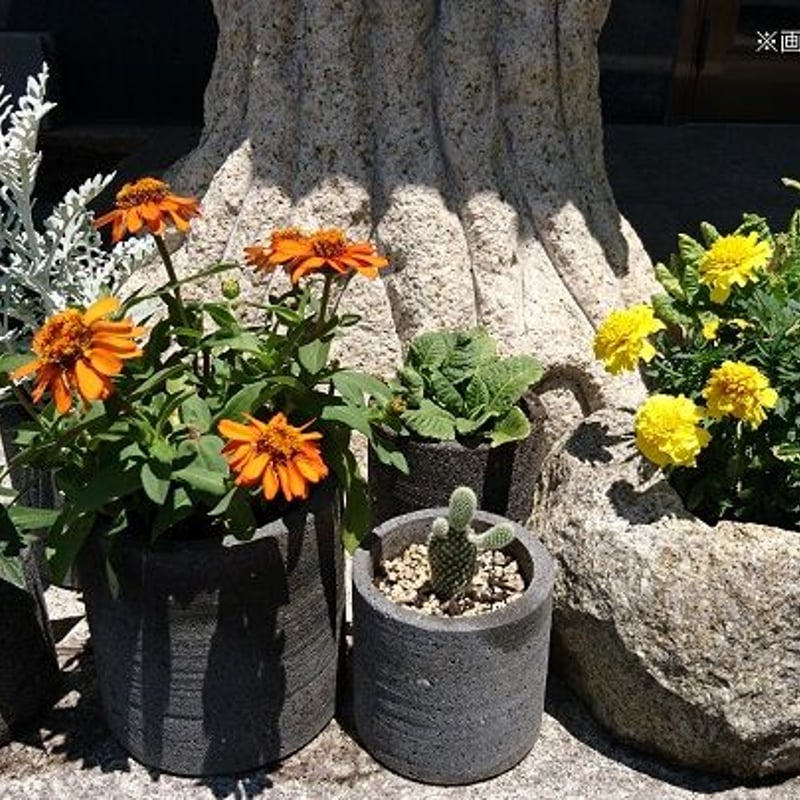 溶岩石フラワーポッット（Ｓ）植木鉢 サボテン 鉢 石 おしゃれ 鉢植え