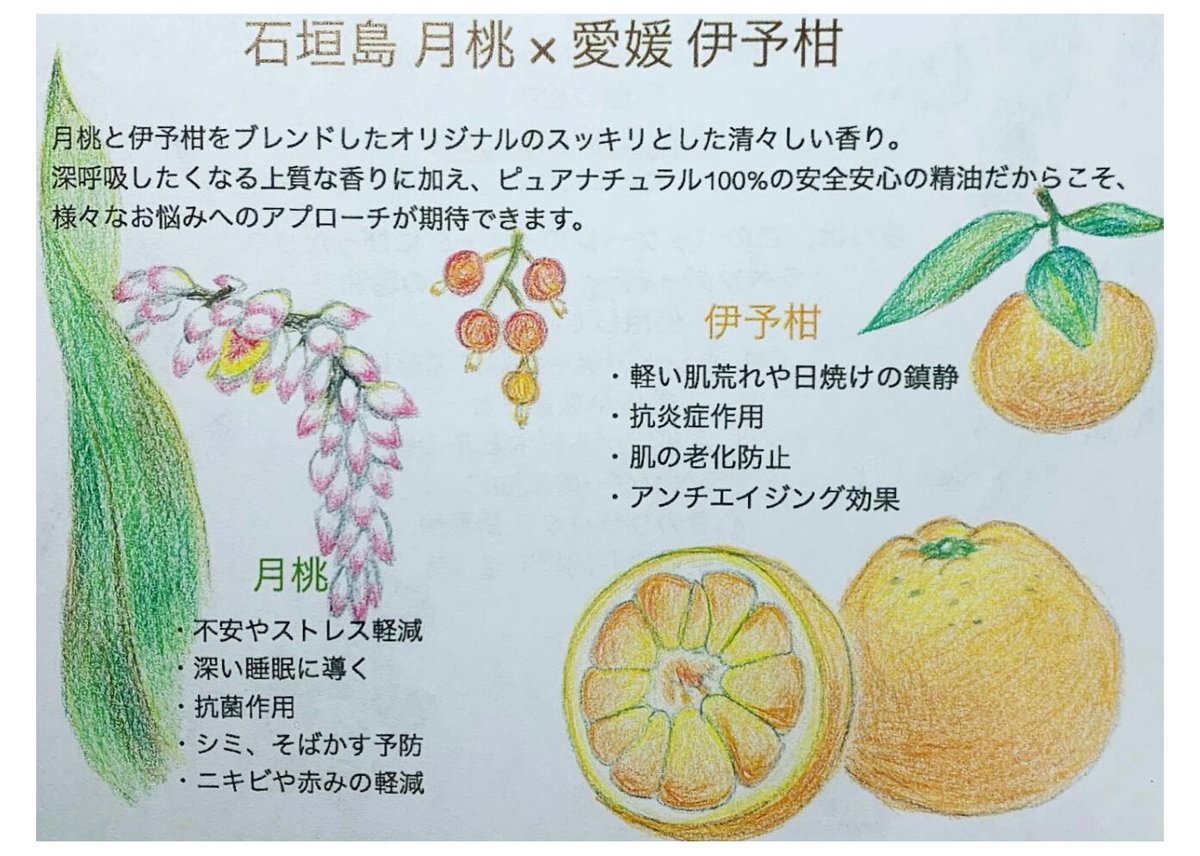 期間限定40％offお試しサイズ！ミニボア 石垣島月桃×愛媛伊予柑