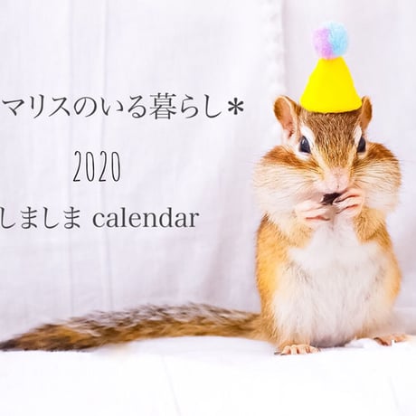【送料無料】2020年『しましま』壁掛けカレンダー