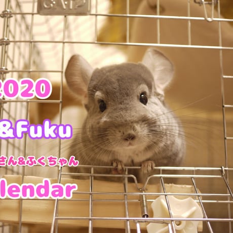 【送料無料】2020年『Toi&Fuku』壁掛けカレンダー