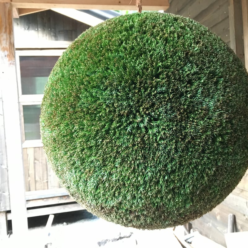 杉玉 大玉 (約50cm) | 楠玉屋 杉玉 大玉 (約50cm) | 楠玉屋