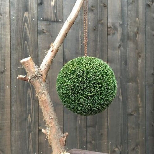 杉玉【屋根付き】④ Product}｜{SubCategory}｜{Category}｜{ShopName}ネット通販