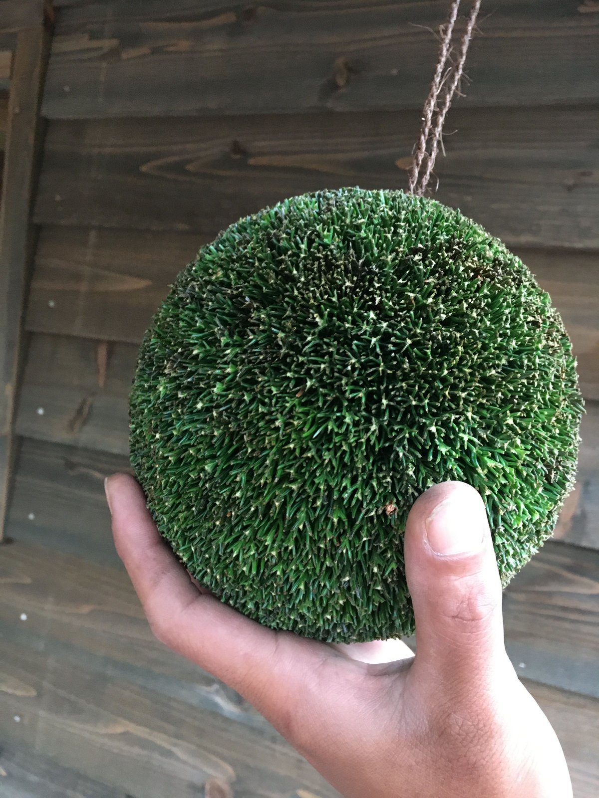 杉玉 四寸玉（約12cm） | 楠玉屋