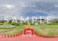いちょう公園　春1
