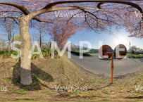 岩木山総合公園　春1