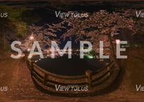 真人公園　春1