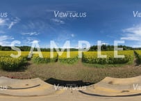 山の楽校　夏2