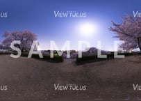 さきたま古墳公園　春3