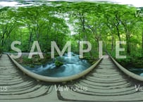 奥入瀬渓流　初夏4