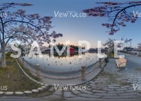 猿賀公園　春7