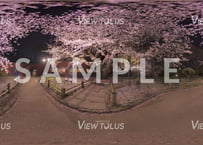 弘前公園　春16