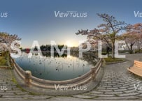 猿賀公園　春2