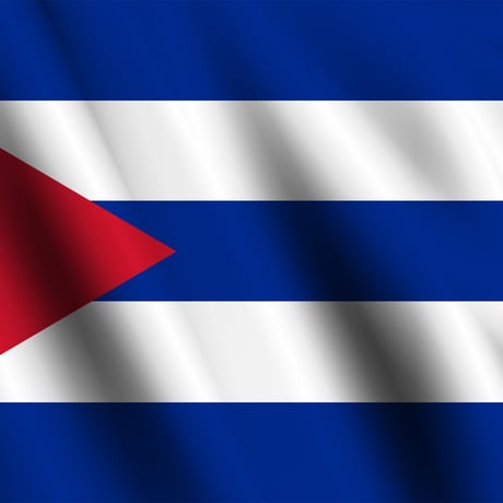 キューバ：ツルキーノ・ラバド（生豆時重量200g）