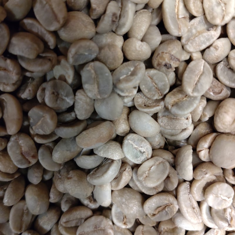 タンザニア：キリマンジャロ（生豆時重量200g） | 自家焙煎珈琲専門店