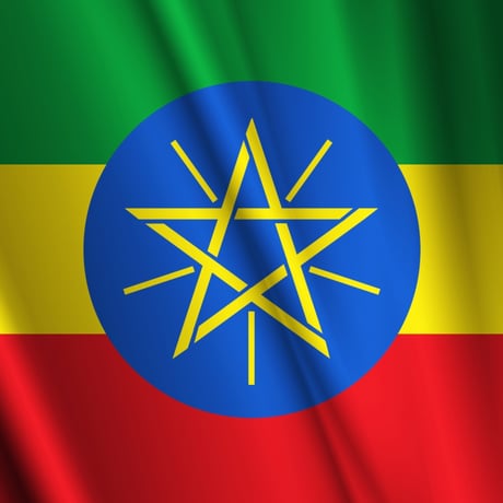 エチオピア：ゲイシャ(生豆時重量200g)