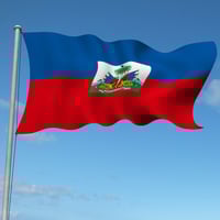 ハイチ：フレンチブルー(生豆時重量200g)