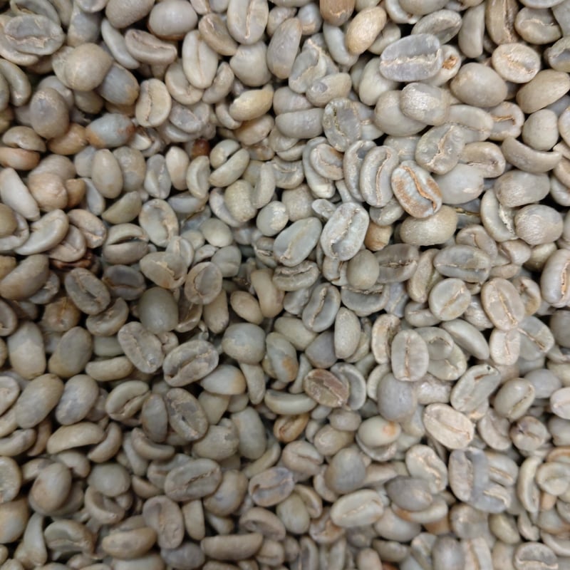 【メタル】【コーヒー生豆】エクアドル　アンデスマウンテン 5kg エクアドル】アンデスマウンテン① コーヒー生豆 1.5kg - メルカリ